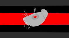 Ratcoric