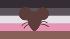 Raetgender