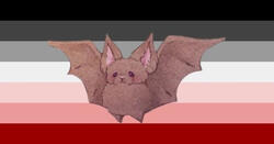 Babybatplush