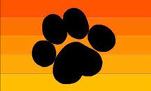 Orangesodapup